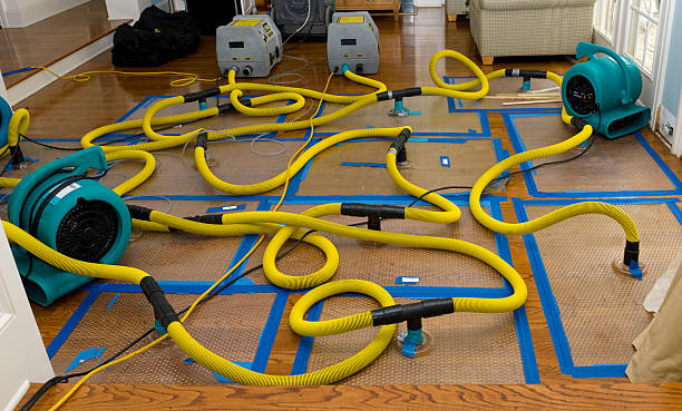 Professional Crawl Space Water Removal technician working in Elrama, PA